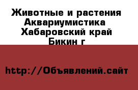 Животные и растения Аквариумистика. Хабаровский край,Бикин г.